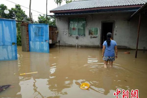 中科信息：公司正在研发两款智能体